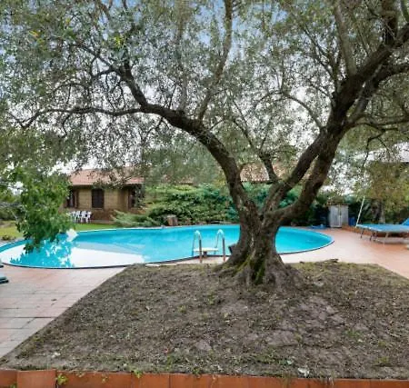 Di Charme Con Piscina E Jacuzzi Tra Roma E Viterbo Bed & Breakfast