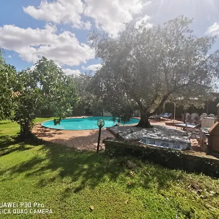 Di Charme Con Piscina E Jacuzzi Tra Roma E Viterbo Bed & Breakfast