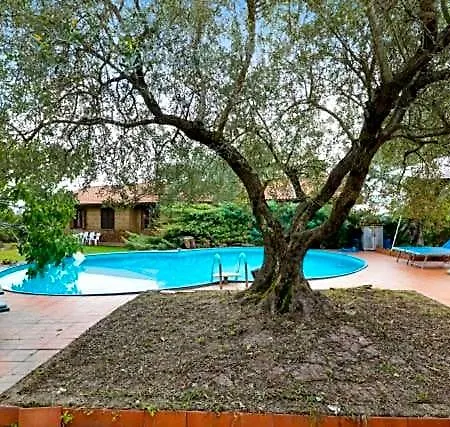 Bed & Breakfast Di Charme Con Piscina E Jacuzzi Tra Roma E Viterbo